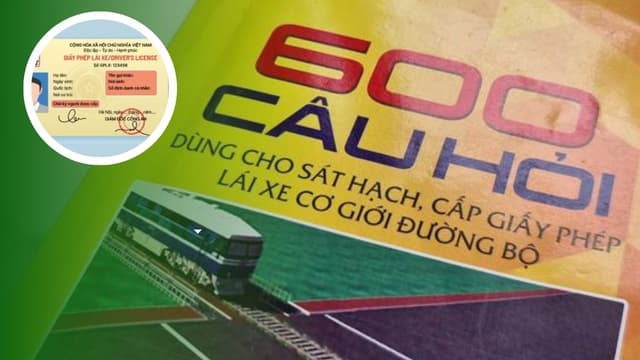 Môi trường thi thử thực tế